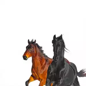 Instrumental: Lil Nas X - Old Town Road (I Got The Horses In The Back) (Remix) Ft. Billy Ray Cyrus (Courtesy of Wxsterr)